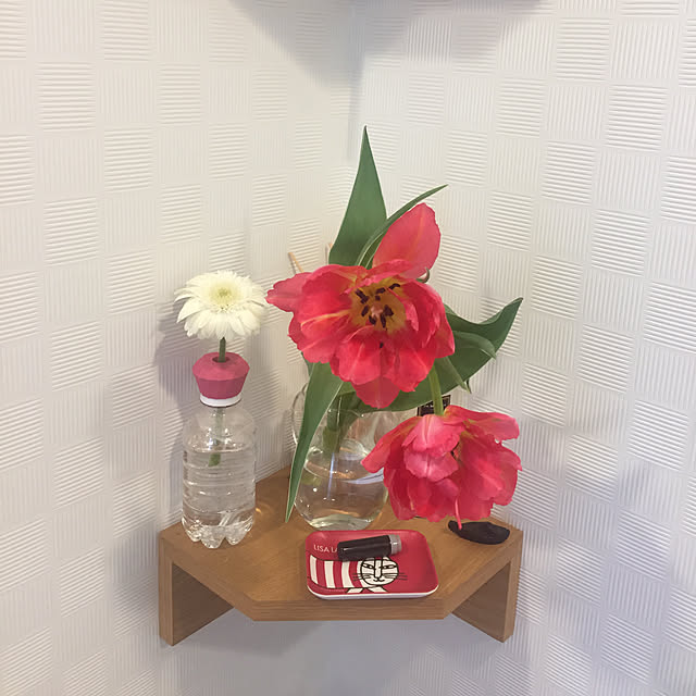 fu-mufumuさんの実例写真
