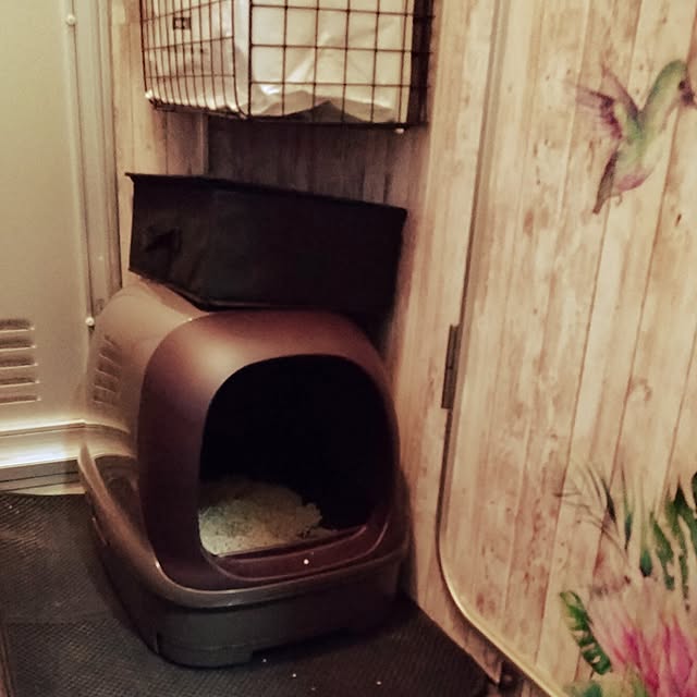 runaさんの部屋