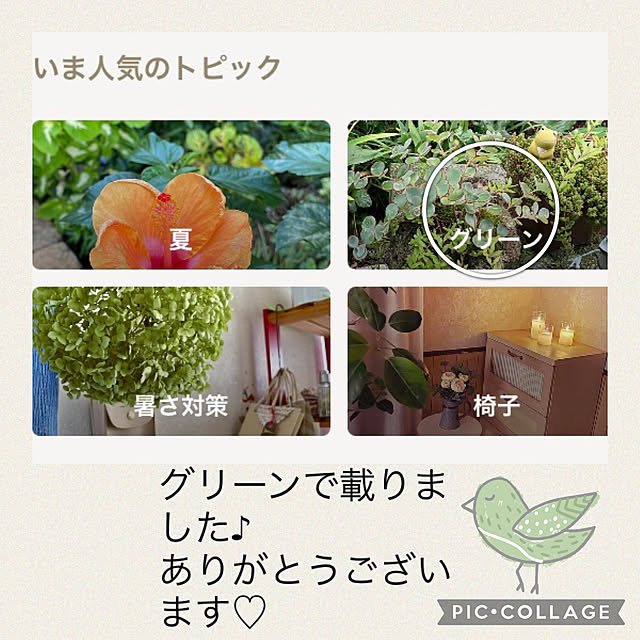 CoCo0617さんの実例写真