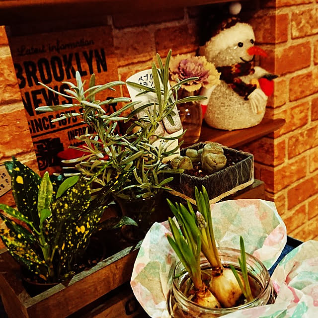 sbhさんの実例写真