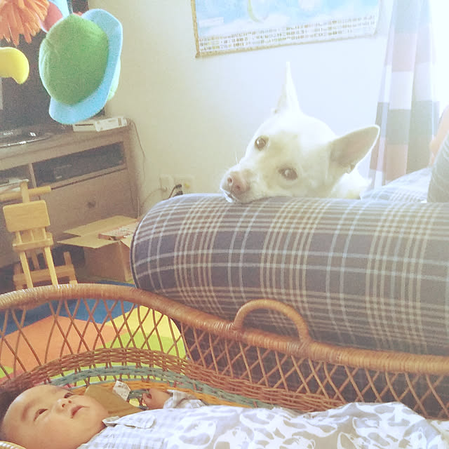 Yukiさんの実例写真