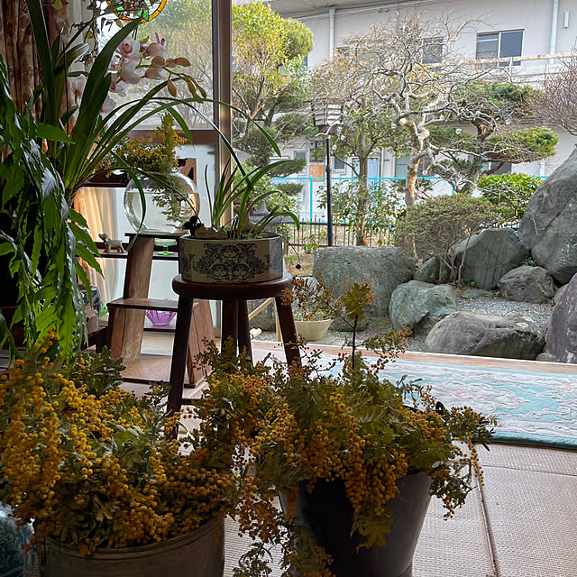 shin0719さんの部屋