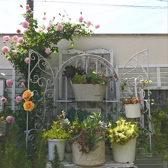 hideさんの実例写真