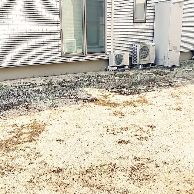 osakanaさんの実例写真