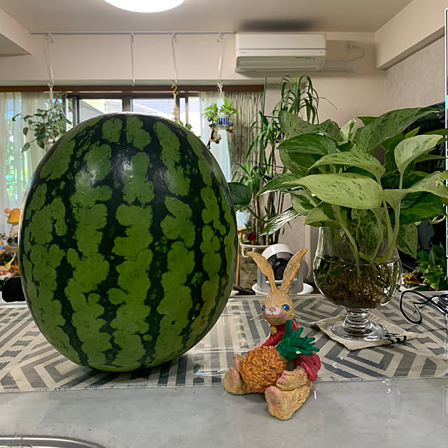 実例写真