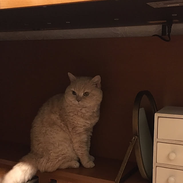 naokoさんの部屋