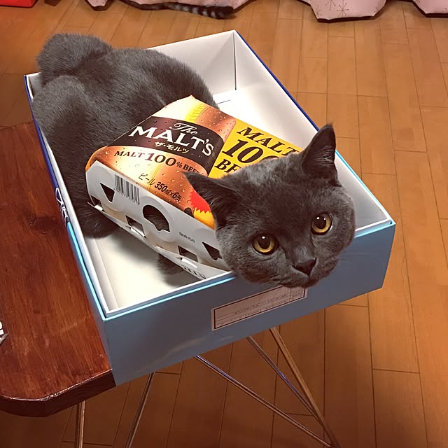Shojiさんの実例写真