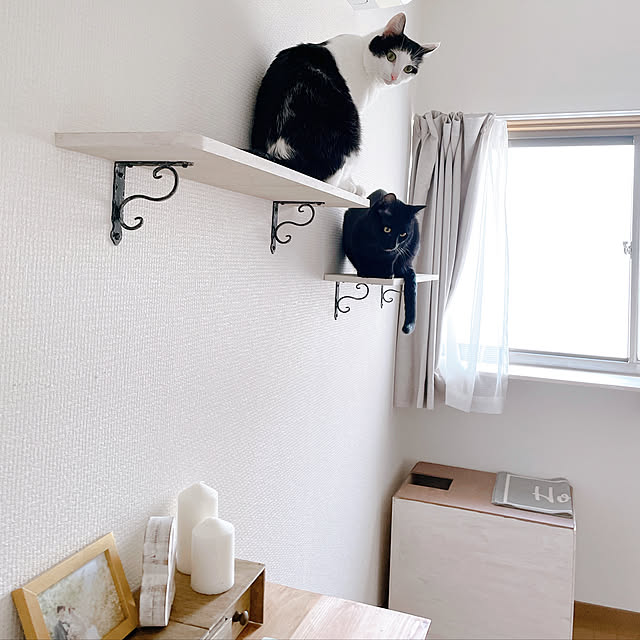harukaさんの実例写真