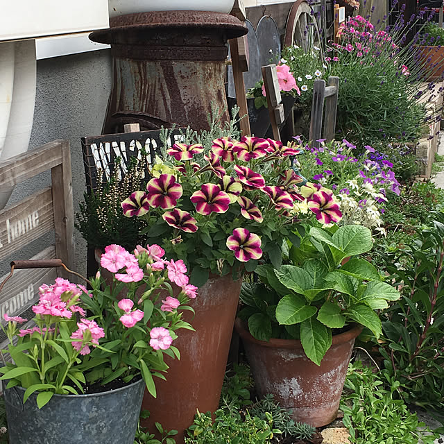 furu.さんの実例写真