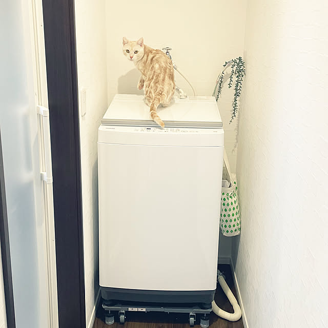 aikaさんの実例写真