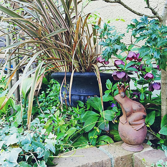cozyhome_naokoさんの実例写真