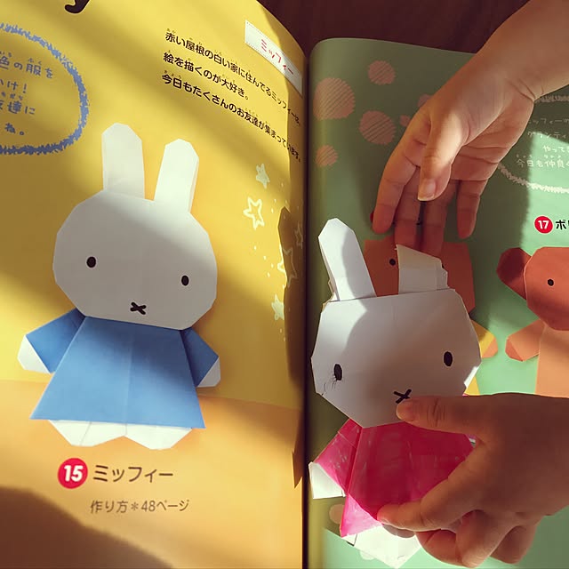 hana39soraさんの実例写真