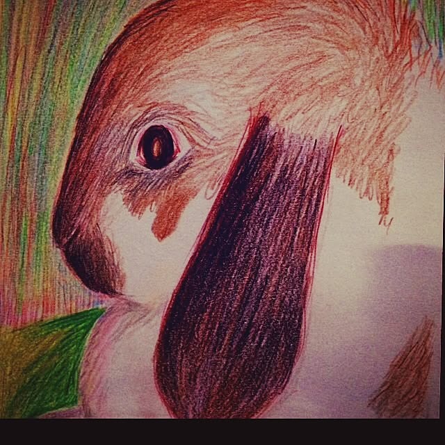 blurさんの実例写真