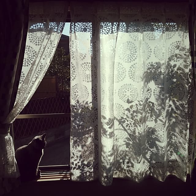 kosame918さんの実例写真