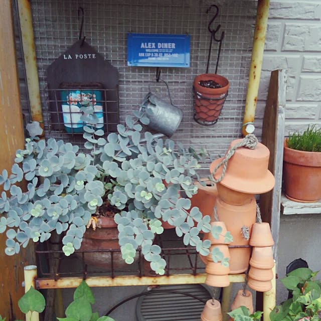 eikoさんの実例写真
