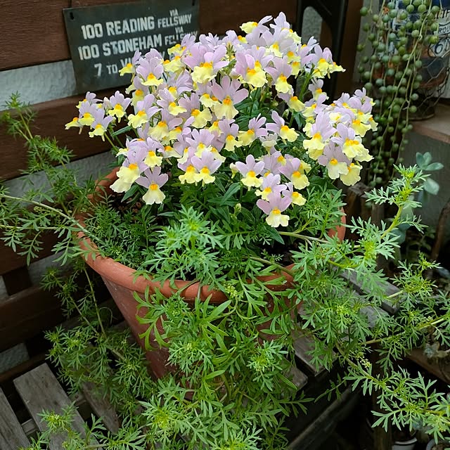 VERANDARJUNさんの実例写真