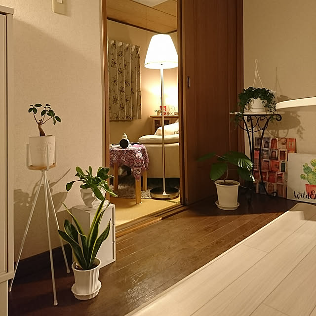 sさんの実例写真