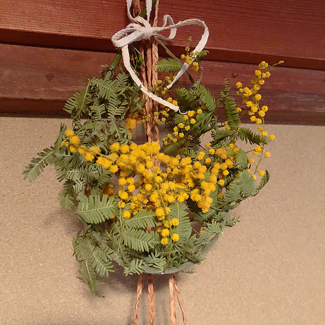 Malamaさんの部屋