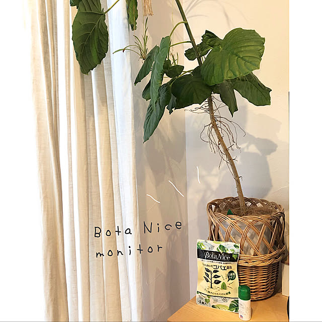 yumicloverさんの実例写真