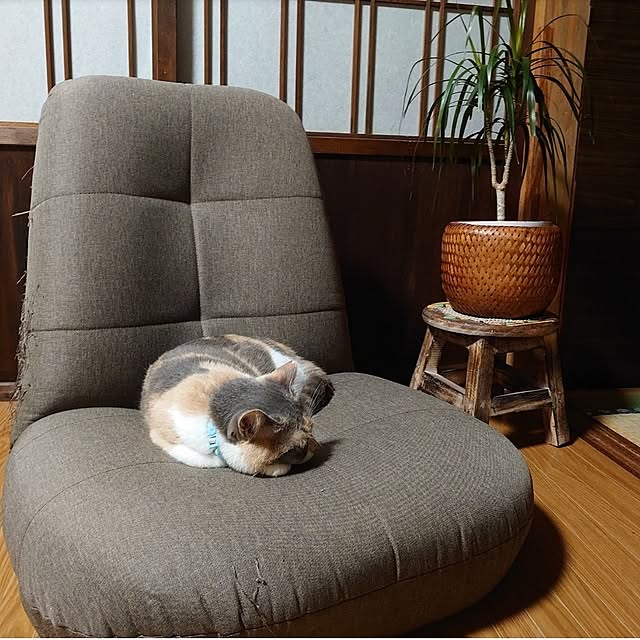 fukuさんの実例写真