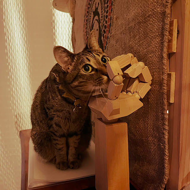 Mさんの実例写真