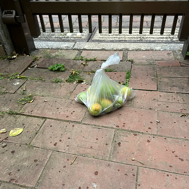 botanさんの部屋