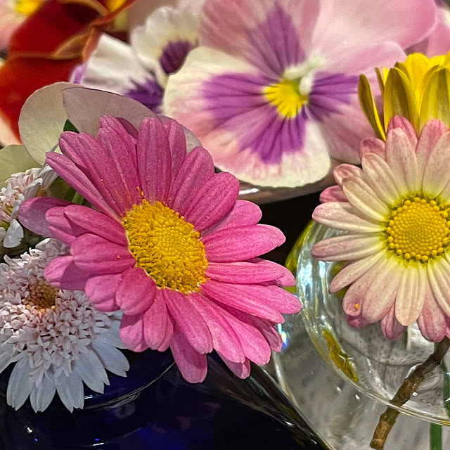 namecoさんの部屋