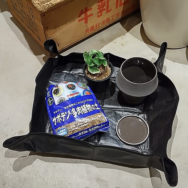 t.yumiさんの実例写真