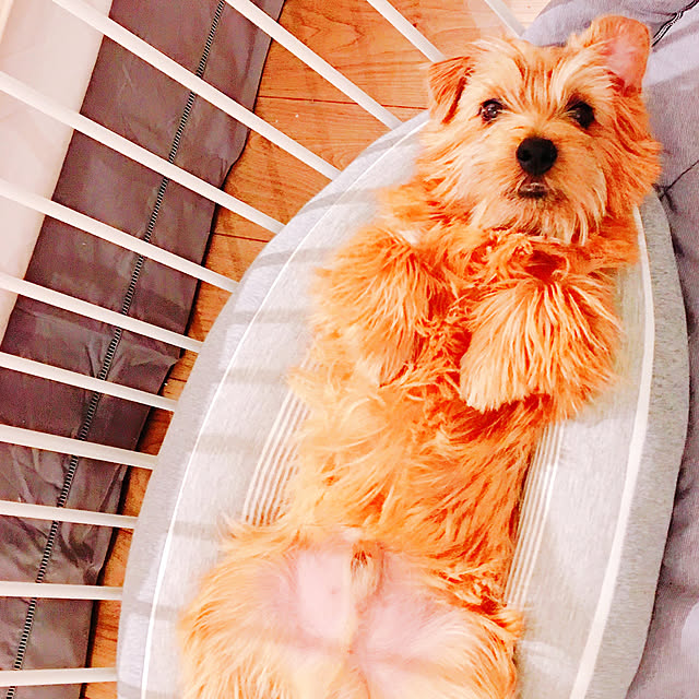 mamamiさんの実例写真