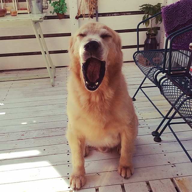 a-saさんの実例写真