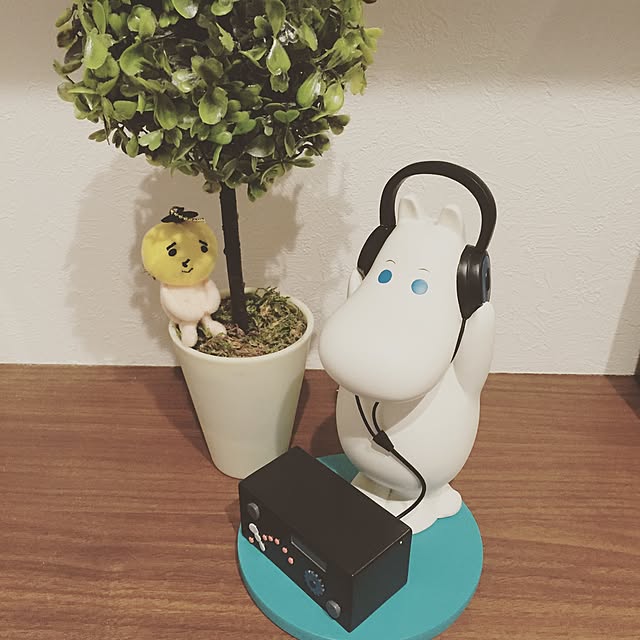 ry0y0shiさんの実例写真