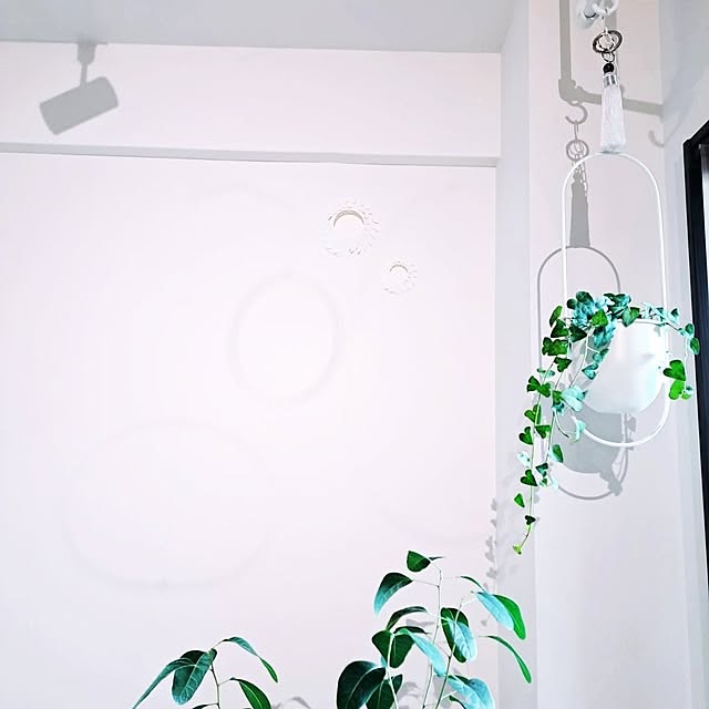 wnさんの部屋