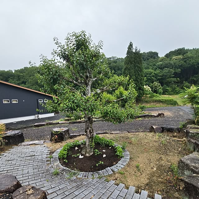 Rubiconさんの部屋