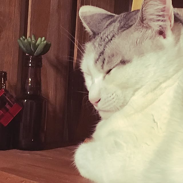 Miechamさんの実例写真