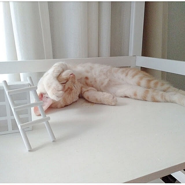 heart.emiemi57.whiteさんの実例写真