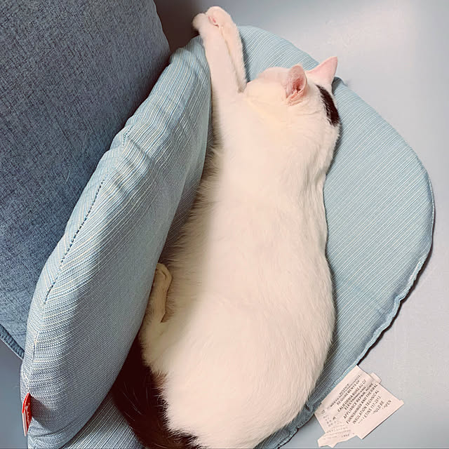 pcu110さんの実例写真