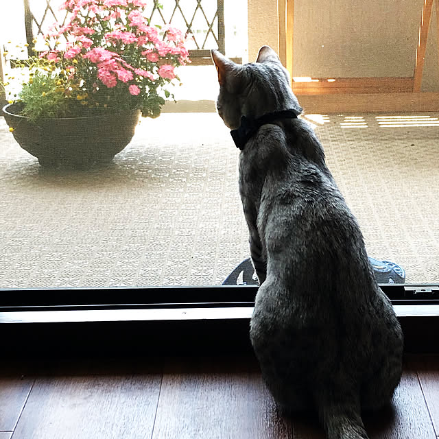 yuさんの実例写真