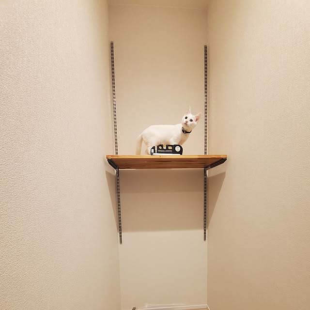 lilyさんの実例写真