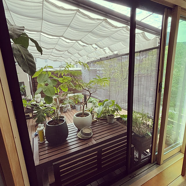 maimai0110さんの部屋