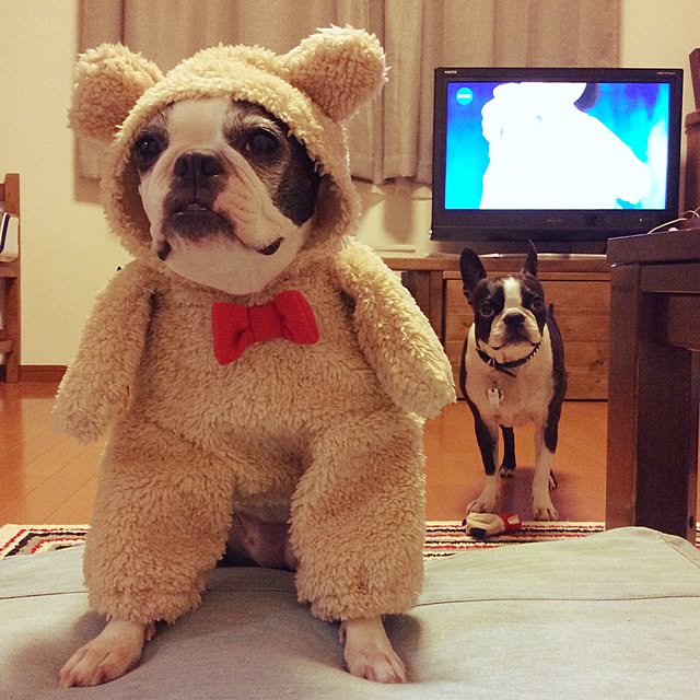 BOSTONさんの実例写真