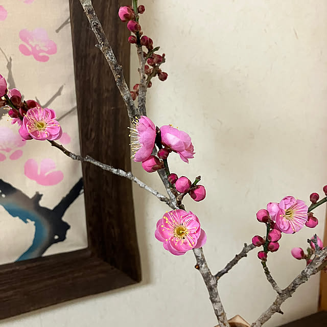 ikubooさんの部屋