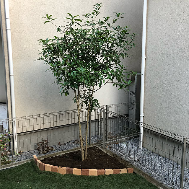実例写真