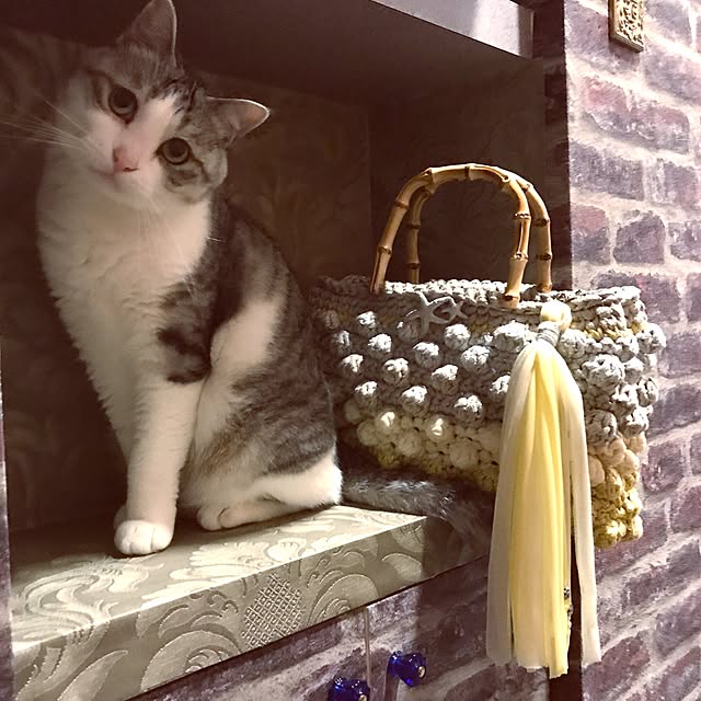 emmyyさんの実例写真