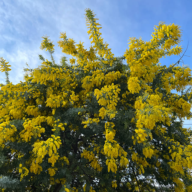 Andaluciaさんの部屋