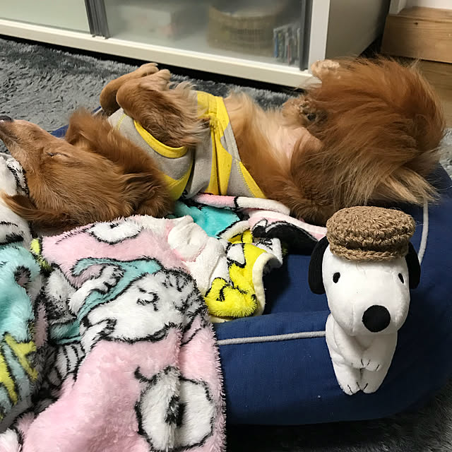 ram_mamaさんの実例写真