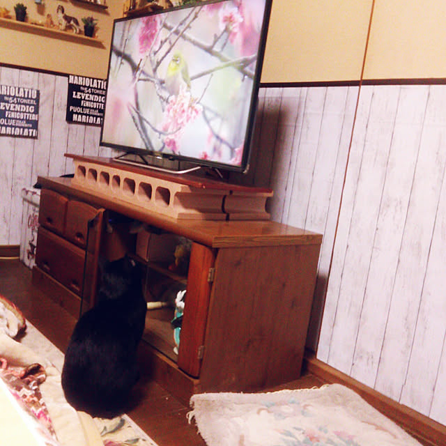 Tomopさんの実例写真