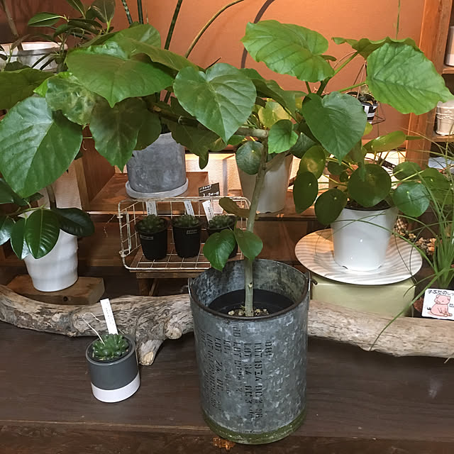 hanabisouさんの実例写真