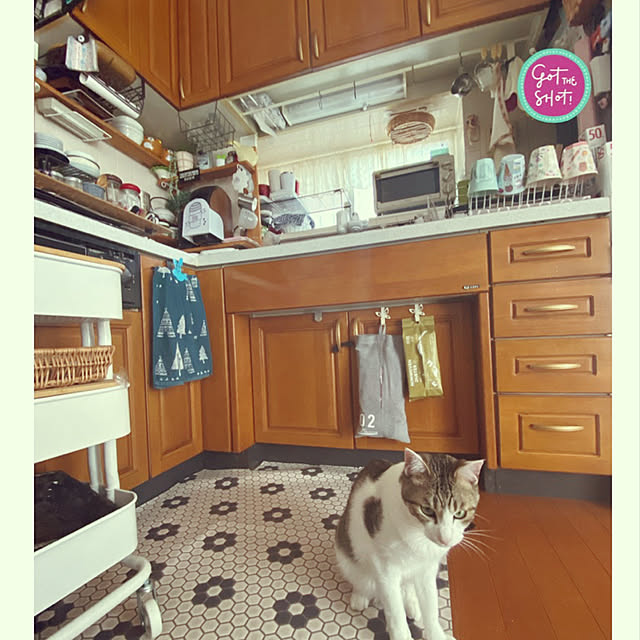 Lufuさんの実例写真