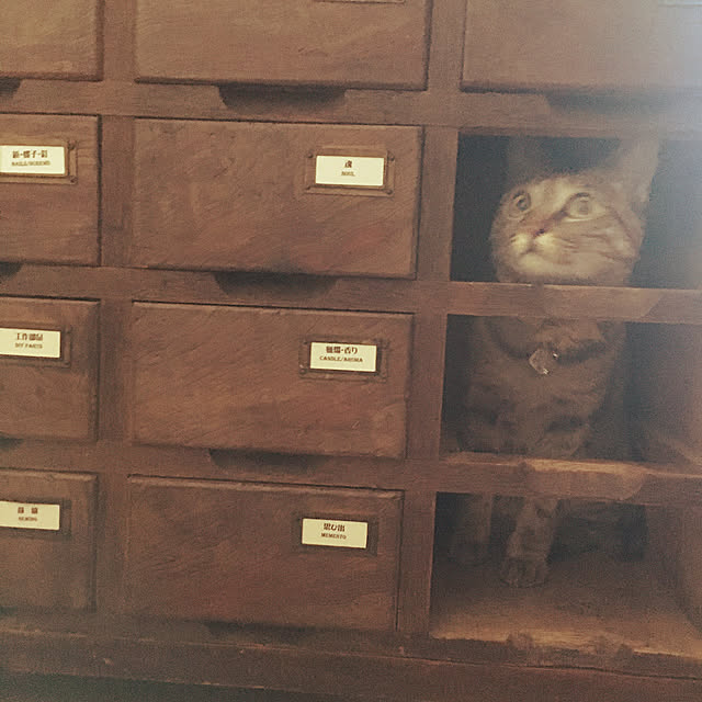 Mさんの実例写真