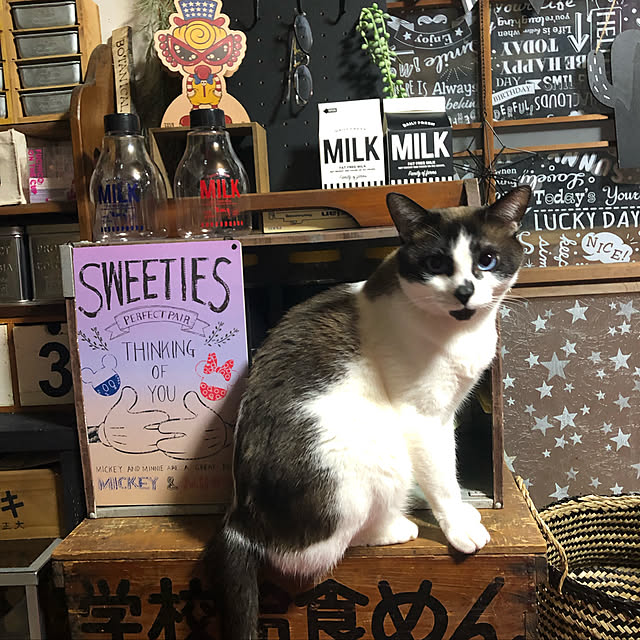vivienne.coco-keiさんの実例写真